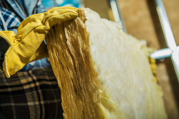 Types of Insulation We Offer in Sturgeon, MO