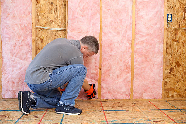 Best Fiberglass Insulation in Sturgeon, MO