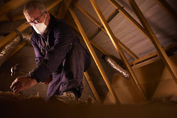 Best Cellulose Insulation in Sturgeon, MO