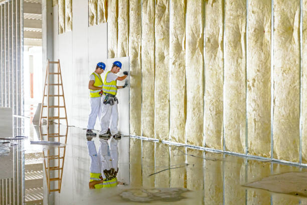 Best Spray Foam Insulation in Sturgeon, MO